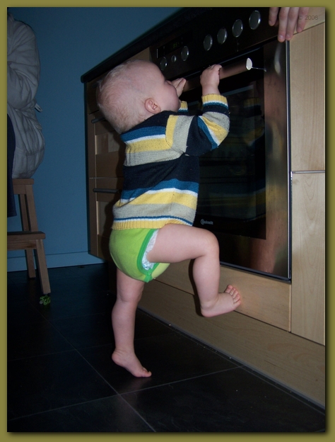 449x598 pixels (188K)